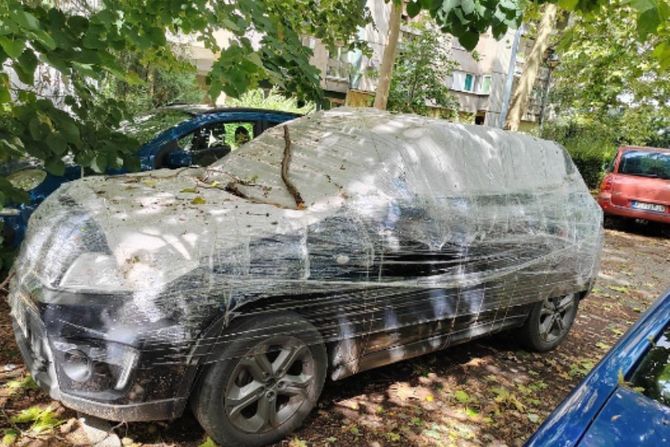 Novi Sad, automobil Novi Sad, automobil