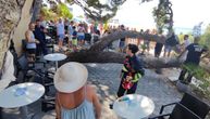 Drama na plaži u Baškoj Vodi: Drvo palo, četvoro ljudi povređeno