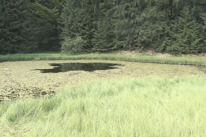 Daićko jezero Golija