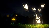 Šta znači sanjati leptire: Šarena krila donose raznobojne simbole