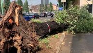 Nevreme u Italiji odnelo prvu žrtvu: Serija snažnih oluja i u Austriji, na udaru i Beč