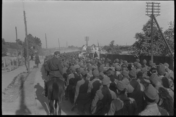 Jasenovac