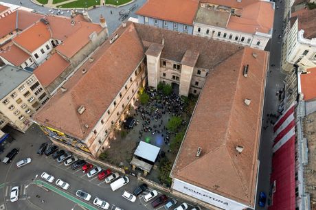 Otvorena izložba naših vajara u Temišvaru: "Bez naziva: Skulptura posle skulpture"