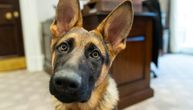 Bajdenov pas za četiri meseca deset puta ugrizao agente Tajne službe