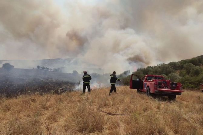Grčka požar Srbija MUP vatrogasci pomoć Volos Nea Anhialos