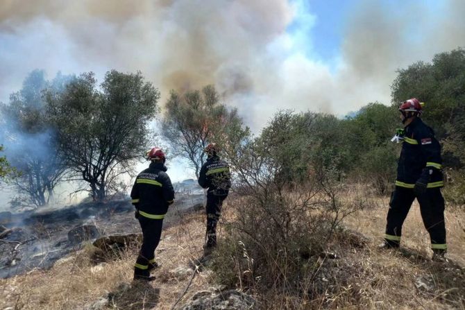 Grčka požar Srbija MUP vatrogasci pomoć Volos Nea Anhialos