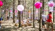 Mountain Music Fest za vikend na Divčibarama: Objavljena detaljna satnica festivala po danima