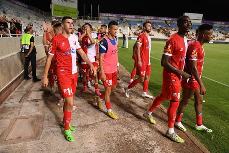 Vojvodina Radnički Niš Superliga Srbije Napredak Mladost