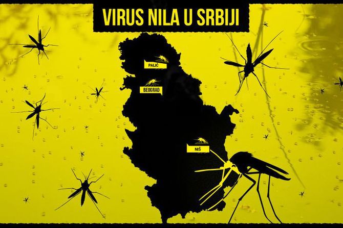 Virus Zapadnog Nila u Srbiji, komarac, komarci, grafika Palić, Beograd, Niš, Zapadni Nil