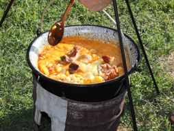 OPASULJIVANJE N.BEČEJ