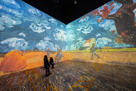 Izložba Van Goga, Toronto, Van Gogh exhibition in Toronto