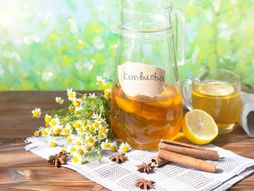 kombuha, fermentisani čajni napitak