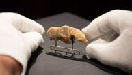Arheolozi zbunjeni zbog otkrića: Mislilo se da figura stara 35.000 godina predstavlja konja, to je bila greška