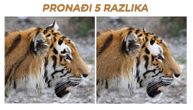 Pronađite 5 razlika na dve slike tigra: Rekord je 20 sekundi, probajte da ga oborite