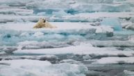 Alarmantno topljenje! Dva zastrašujuća snimka pokazuju kako se Grenland promenio u jednom mesecu