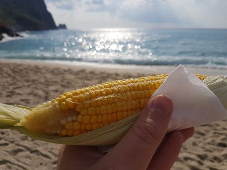 Kuvani kukuruz, plaža