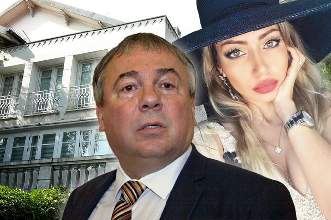 Mića Megatrend, Ana AV, vila Mića Megatrend, Ana AV, vila