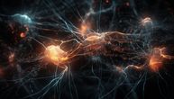 Dvolične nervne ćelije postoje, potvrdili naučnici! Povezane su sa autizmom i šizofrenijom
