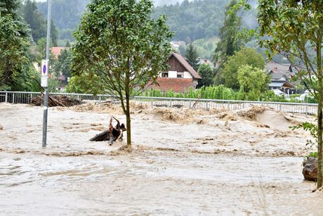 Slovenija poplava