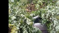 Oluja čupala drveće i obarala dalekovode: Jako nevreme sinoć pogodilo Snetu