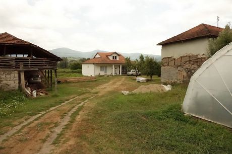 Gordana Božilović, Vladičin Han