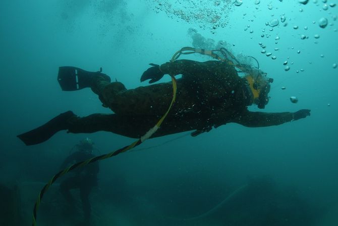 Ronila, ronioci, ronjenje Ronila, ronioci, ronjenje