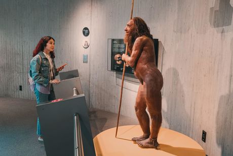 Neandertalac, homo sapijens