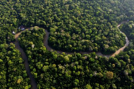 Amazon samit klimatske promene