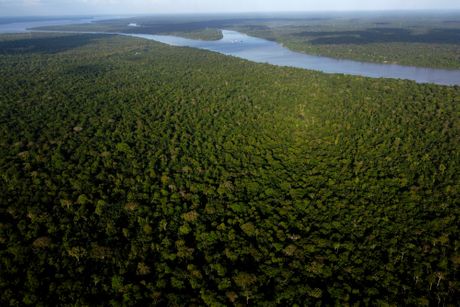 Amazon samit klimatske promene