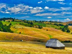 Zlatibor