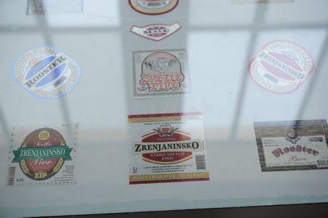 38. Dani Piva, Zrenjanin