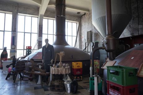 38. Dani Piva, Zrenjanin