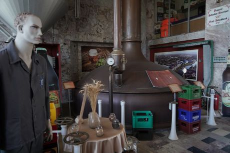 38. Dani Piva, Zrenjanin