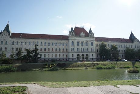 38. Dani Piva, Zrenjanin