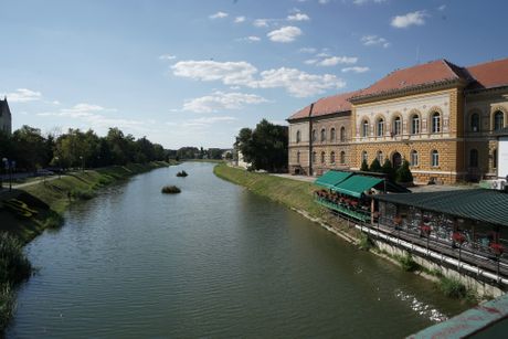 38. Dani Piva, Zrenjanin