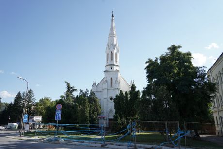 38. Dani Piva, Zrenjanin