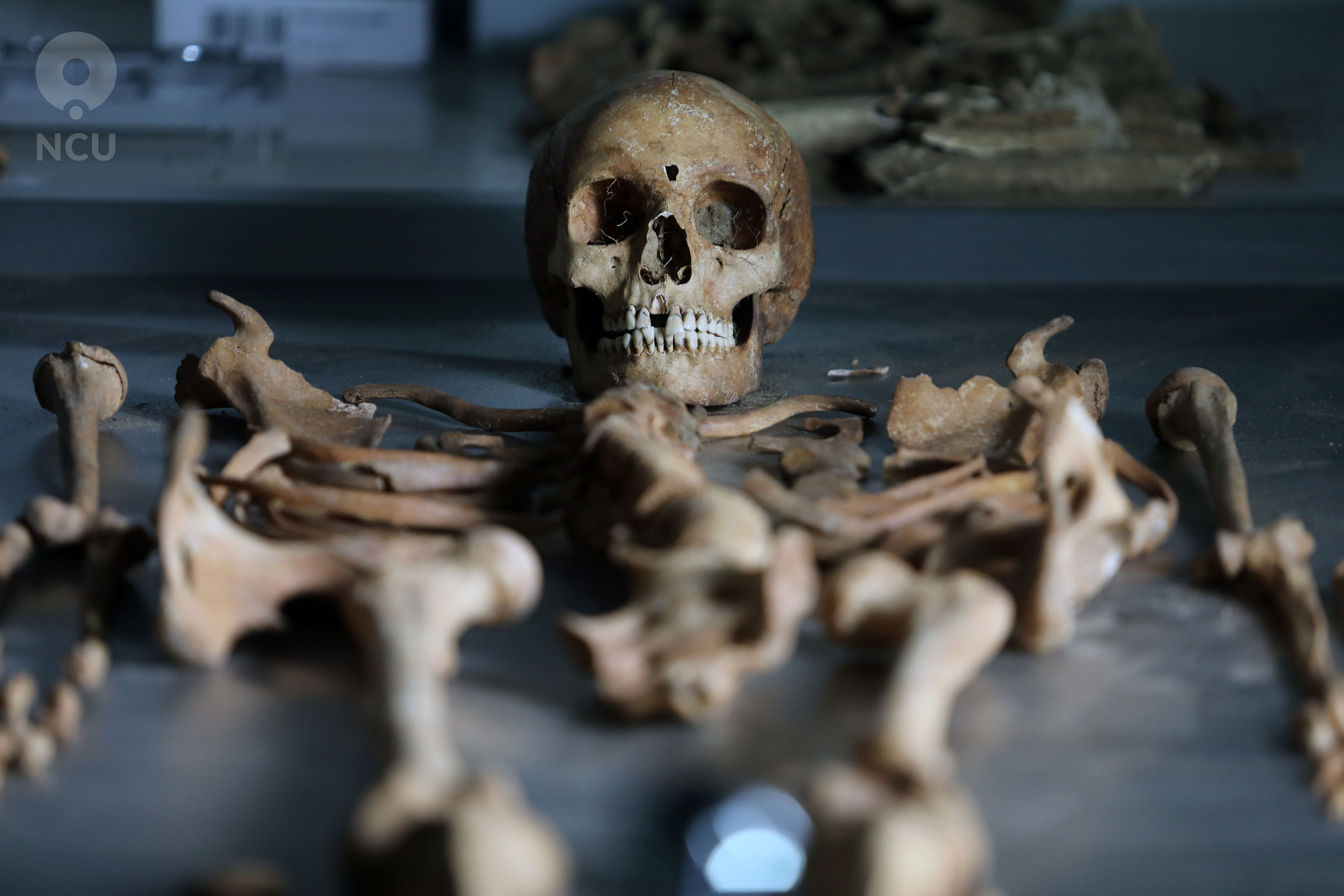Misteriozni Grob 75 opet proučen: DNK i izotopi otkrili tajne vampirice iz Pijena – imala od 17 do 19 godina