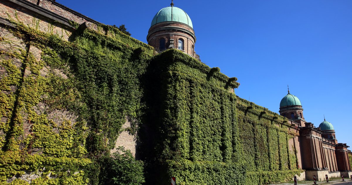 Pogledajte kako izgleda Mirogoj nakon oluje: 