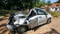 Stari hrast smrskao novi automobil na Košutnjaku: Zgužvan je kao konzerva, stanari se hvataju za glavu
