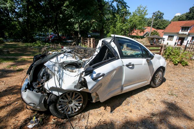 Palo drvo na automobil na Košutnjaku