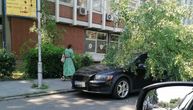 Drvo iznenadno palo ispred zgrade univerziteta: Poklopilo auto na Novom Beogradu