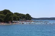 U plićaku Jadrana viđeno opasno stvorenje: Približilo se popularnoj plaži, upozorenje za turiste i kupače