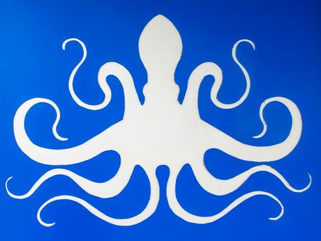 hobotnica oktopod