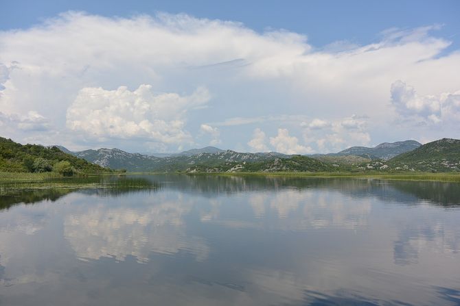 Skadarsko jezero