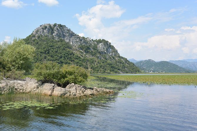 Skadarsko jezero Skadarsko jezero