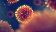 Šta je Nipa virus koji se pojavio u Indiji, kako se dobija, koji su simptomi i kako da se zaštitimo od njega?