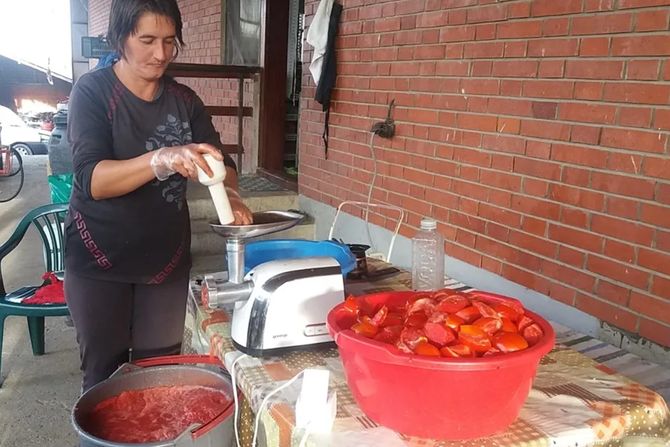 Biljana Đurđević  Topola mlevenje paradajza Biljana Đurđević  Topola mlevenje paradajza