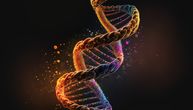 Veštačke DNK strukture pokreću napad na ćelije kancera i razaraju ih! Razvijen novi način borbe protiv raka