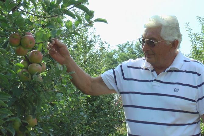 pesticidi, sveta stamenković