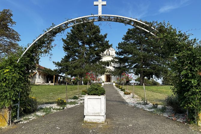 Monah, bludničenje, Čačak, Mojsinje